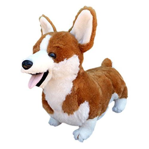 plush corgi dog