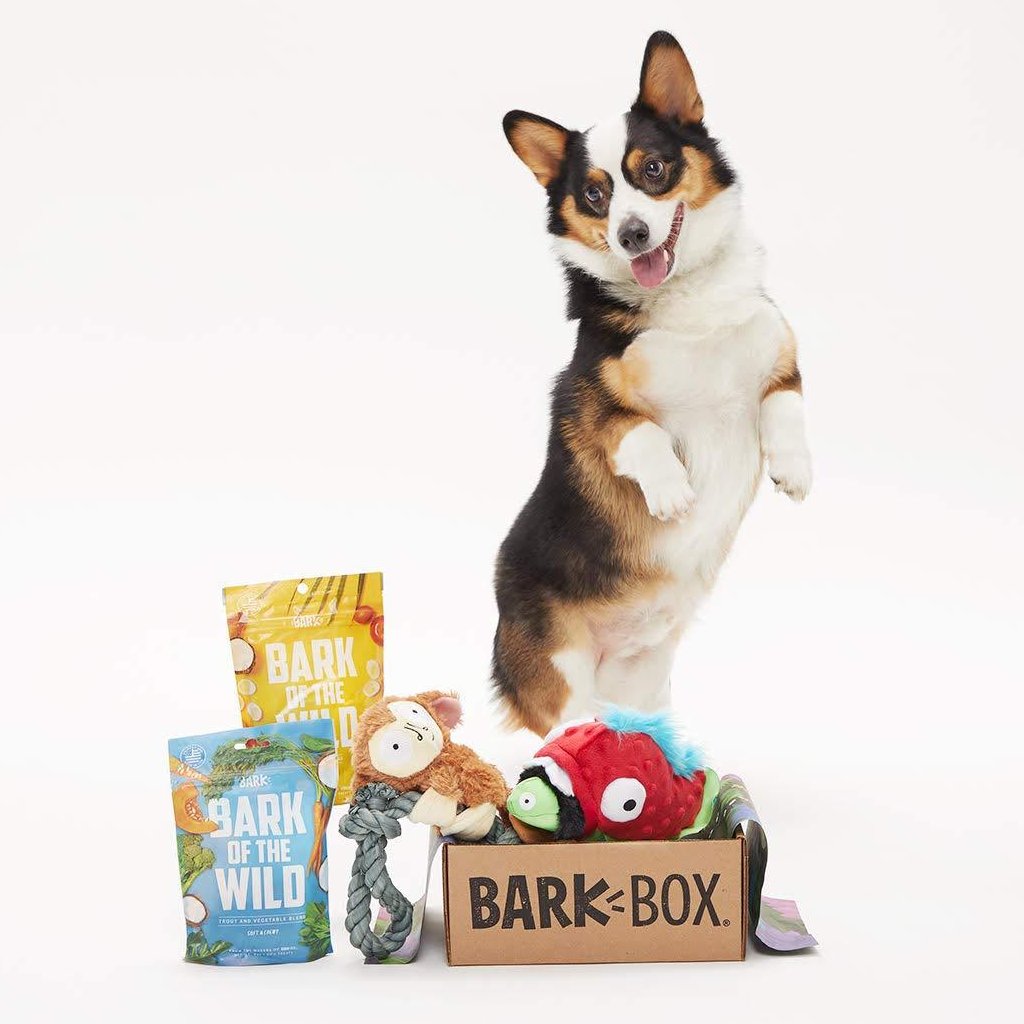 barkbox dog toys