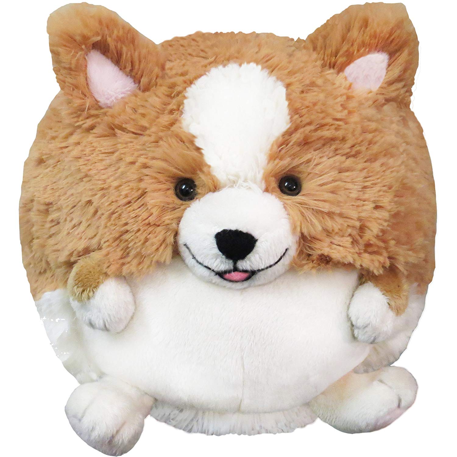 corgi teddy