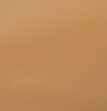 The Small Doctor Bag in Tan Leather