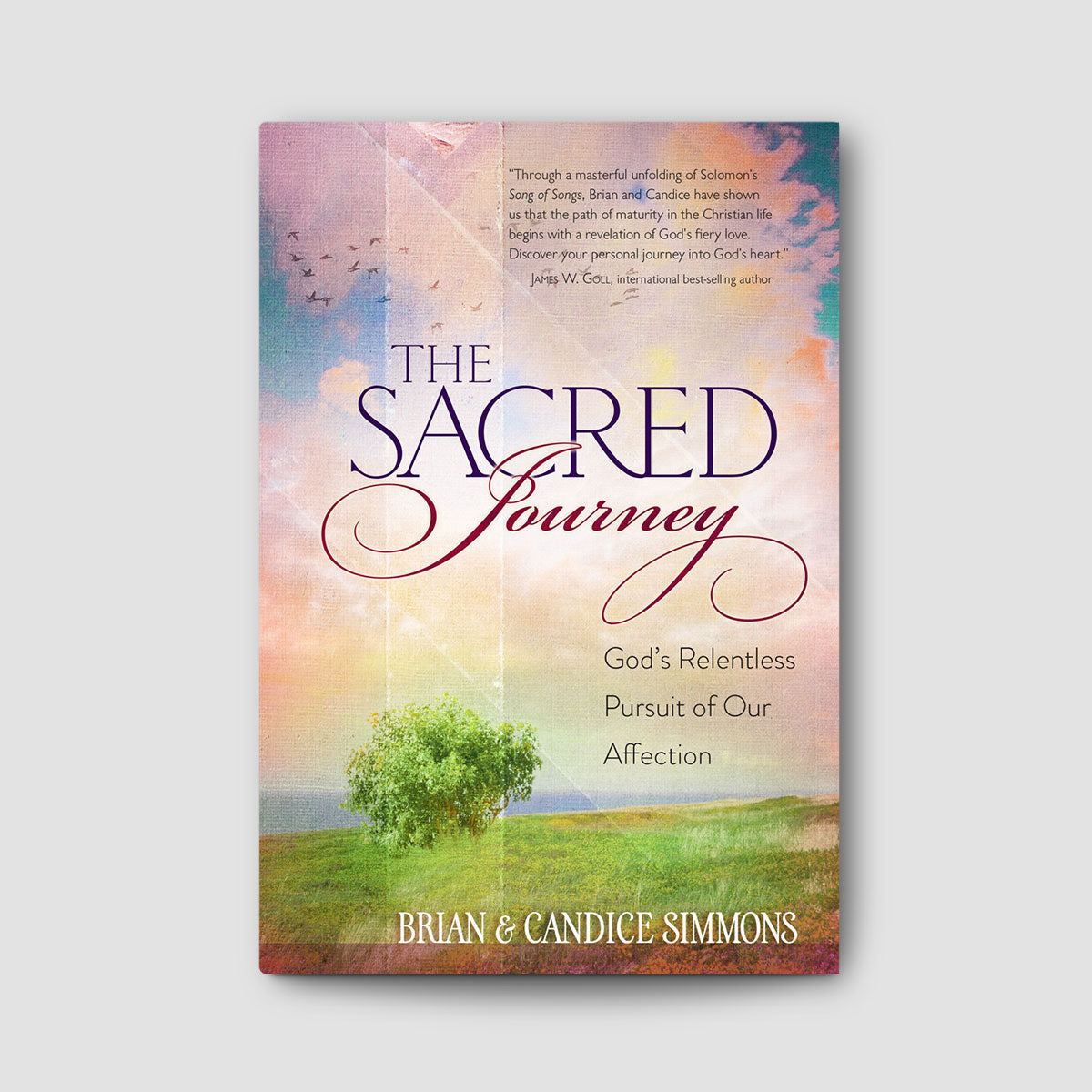 The Sacred Journey Gods Relentless Pursuit Of Our Affection - 