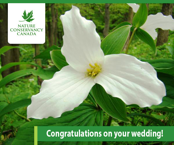 Wedding congratulations – Nature Conservancy Canada