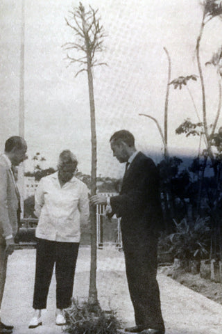 lota-parque-flamengo