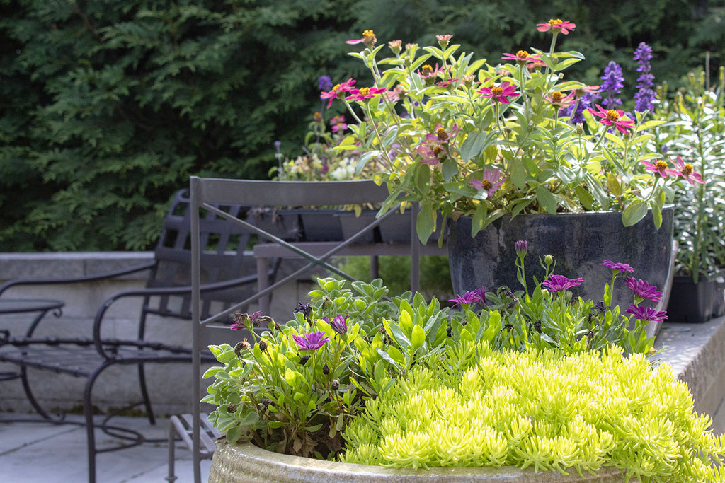 image of layered flower pots with bright green and purple flowers with zinc patio furniture