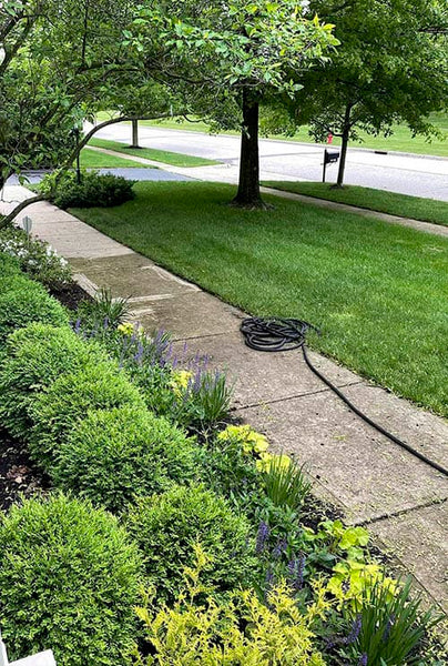 front yard garden with walkway half power washed. trees and grass are in the background