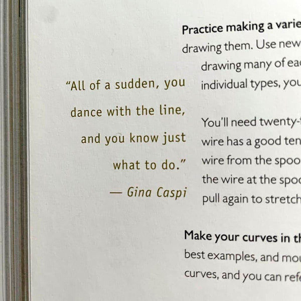 Sidebar of Elements of Design Book by Hannah. Shown is a quote by Gina Caspi. 