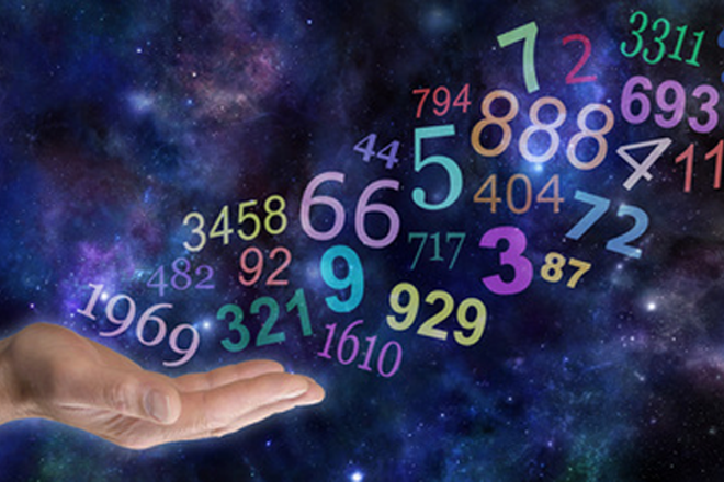 free numerology reports