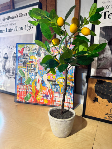 office decluttering and redesign for creativity workspace refresh with colorful decor and lemon tree Sassy Jones creative office makeover 2025 decluttered office space with positive energy intuitive shopping home office refresh