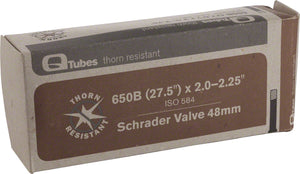 Teravail Protection Schrader Tube