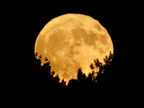 Reflect and meditate on the next October 29 full moon.