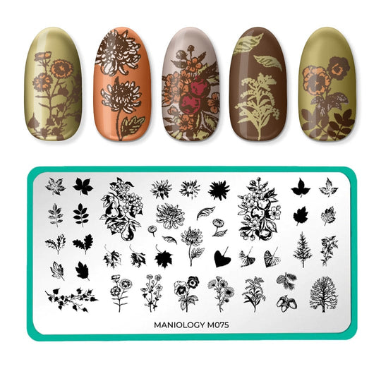  Maniology New Growth (M282) Nail Stamping Plate