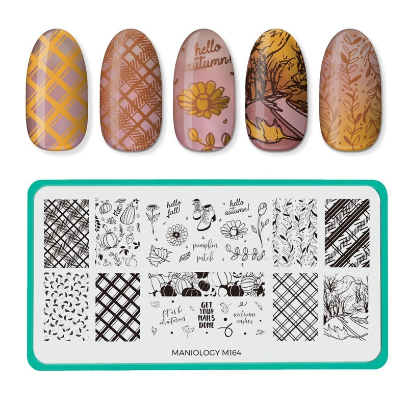 Autumn Wishes Fall Occasions Stamping Plate | Maniology