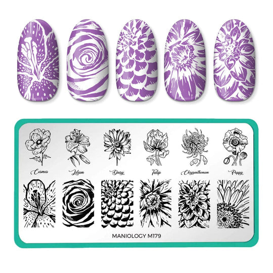  Maniology New Growth (M282) Nail Stamping Plate