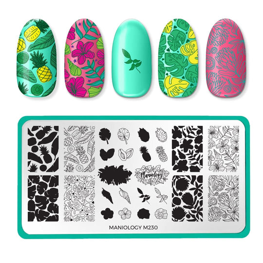 in Shape (M301) Nail Stamping Plate | Maniology