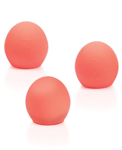 We-vibe Bloom Coral Accessories Kit