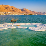 Dead Sea Salt by Valhalla Spa Organics