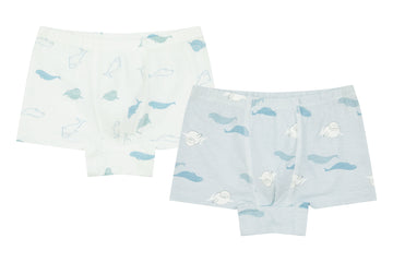 Bamboo Boys Underwear Shorts 2 pack (Light Up the Sky Print/Space