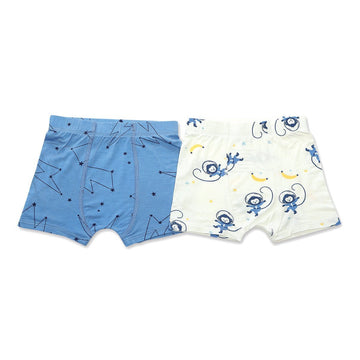 Buy Boys' and Toddler Underwear, Comfort Flex Waistband Boxer Briefs,  Multiple Packs Available Online at desertcartSeychelles