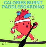 Calories Burnt Paddleboarding