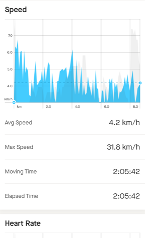 Calories Burnt Paddleboarding - Poole Harbour Watersports