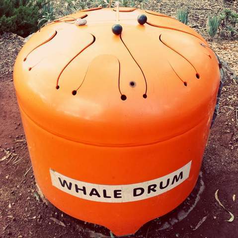 large orange tongue drum whale drum label stuck on its surface