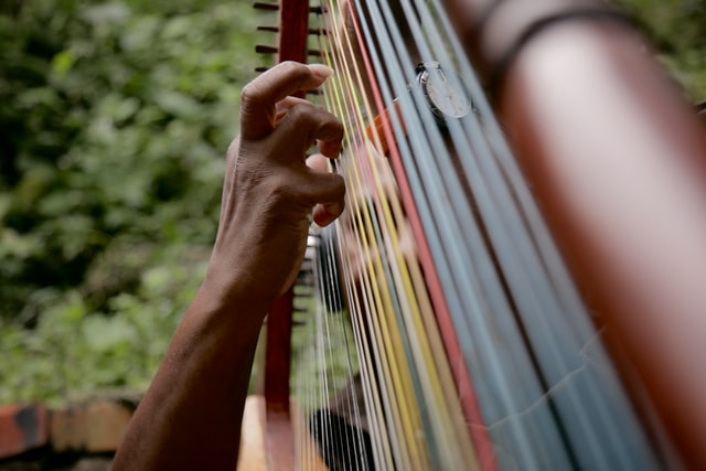 hand playing stringed musical instrument selective focus