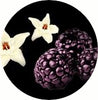 Amber Grove - Black Raspberry & Vanilla Fragrance