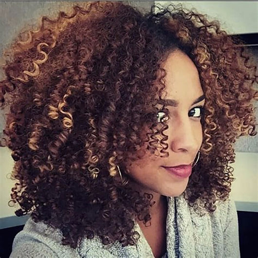 New Wtb Brown Blonde Mixed Synthetic Curly Wigs For Women Short