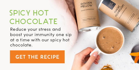 Spicy Hot Chocolate