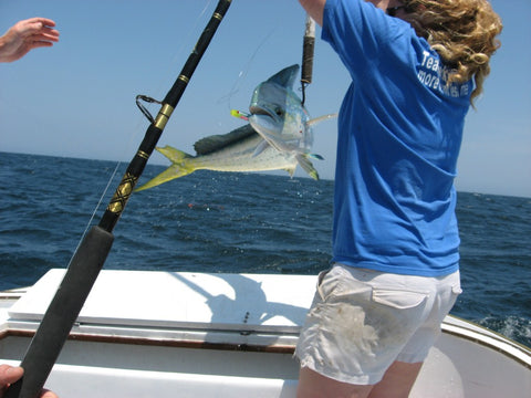 Mahi caught on a Blue & Yellow Monkalur aboard the Albatross II