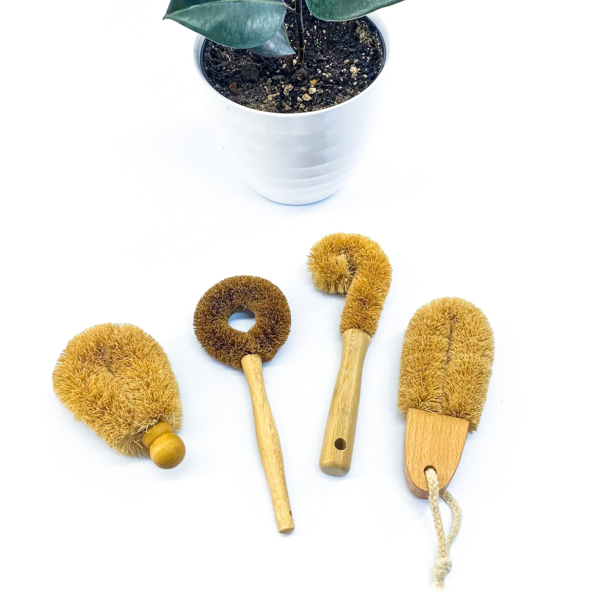 https://cdn.shopify.com/s/files/1/1523/4148/products/cleaning-brushes-coir-507104.jpg?v=1697850697&width=2048