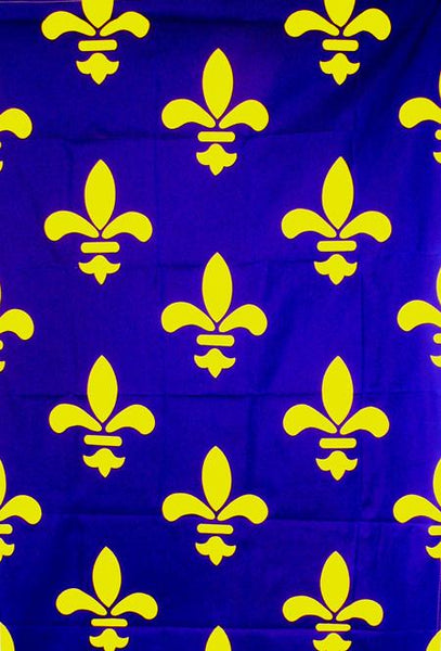 flag-french-fleur-de-lis-banner-international-military-antiques