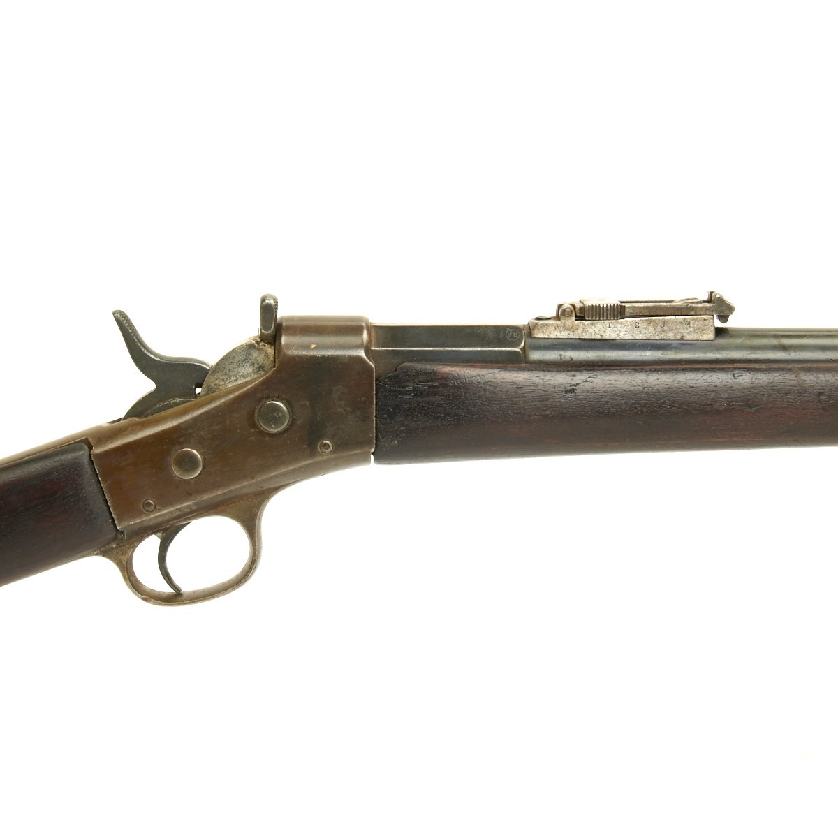 argentine remington rolling block rifle