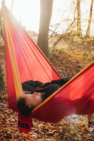 Die Hängematte im Wald im Herbst 