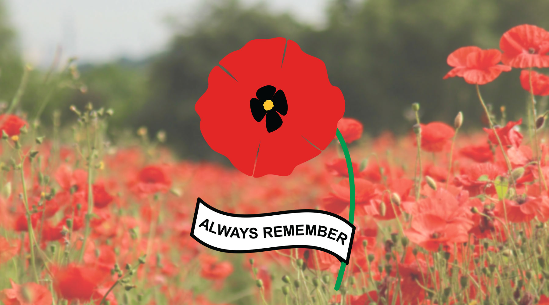 Free Remembrance Day Poppy Cut Files Kelly Lollar Designs