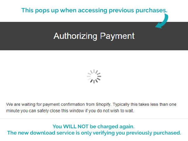 Authorizing Payment Popup