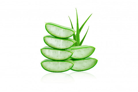 Aloe Vera (Aloe Barbadensis leaf juice) 