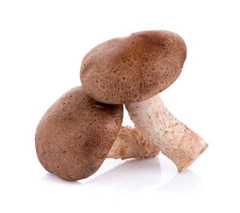 Shiitake_Mushrooms