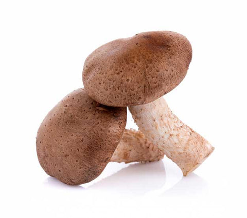 Shiitake Mushroom Benefits: Unlocking Health Secrets