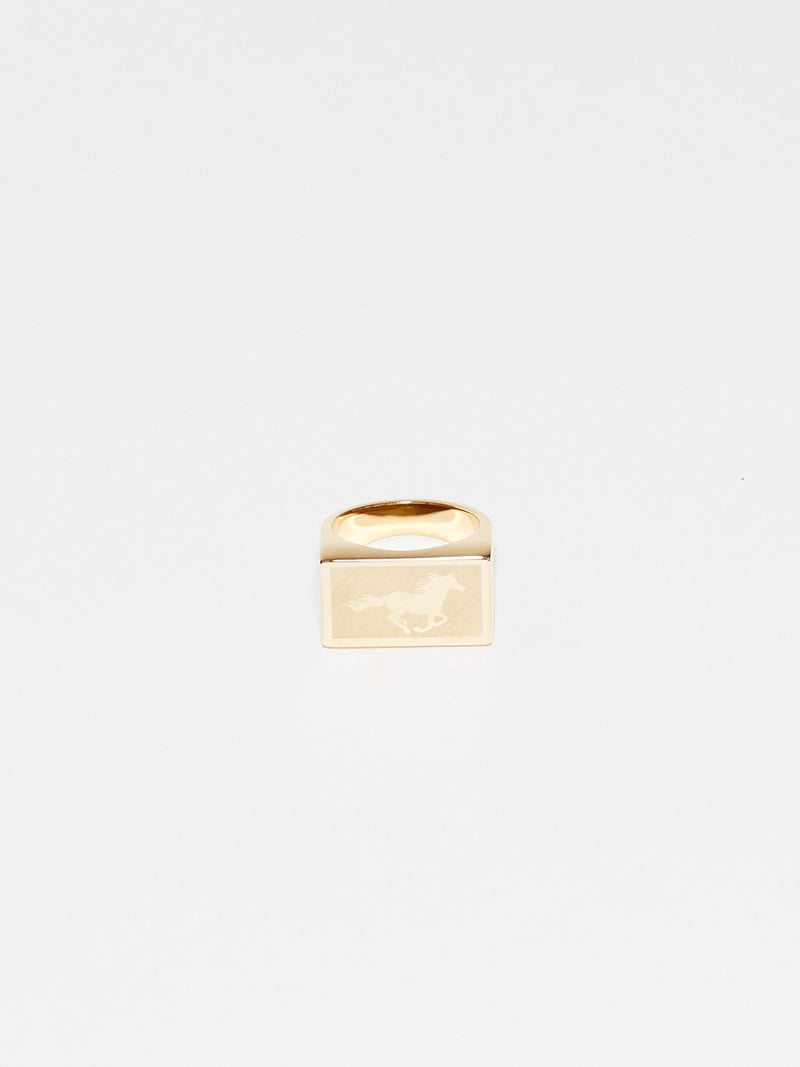 Front view flat lay of Horse Signet Ring charm Bagatiba 
