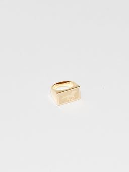 Angled view flat lay of Horse Signet Ring charm Bagatiba 