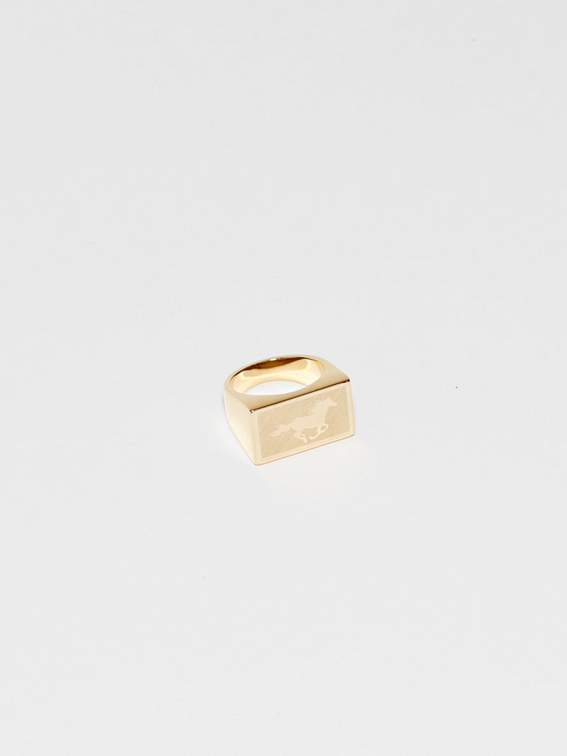 Angled view flat lay of Horse Signet Ring charm Bagatiba 