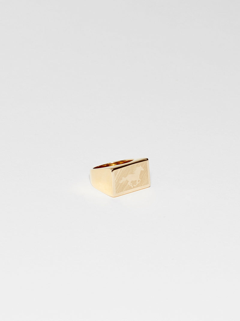 Flat lay of Horse Signet Ring charm Bagatiba 