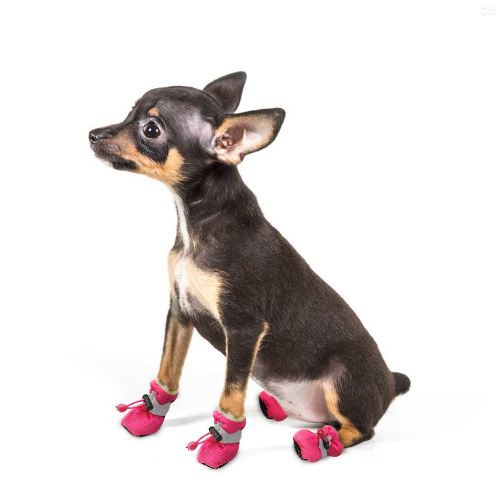 dog shoes for winter