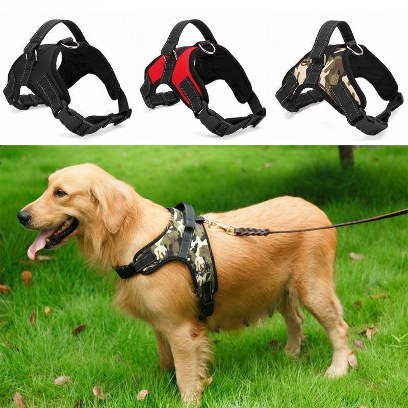 dog harness with handle