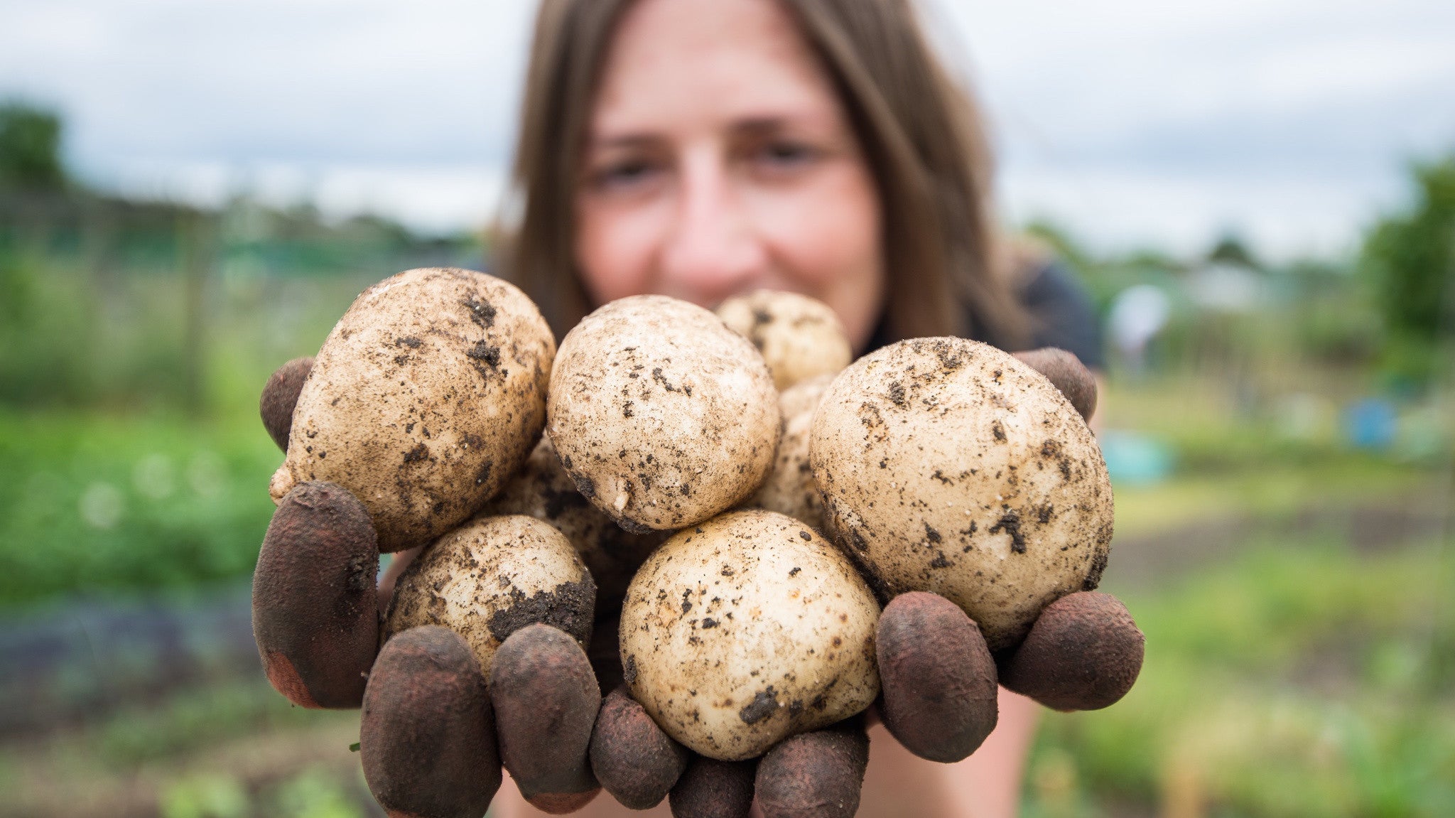 The 5 Worst Foods for Arthritis The Feel Good Lab