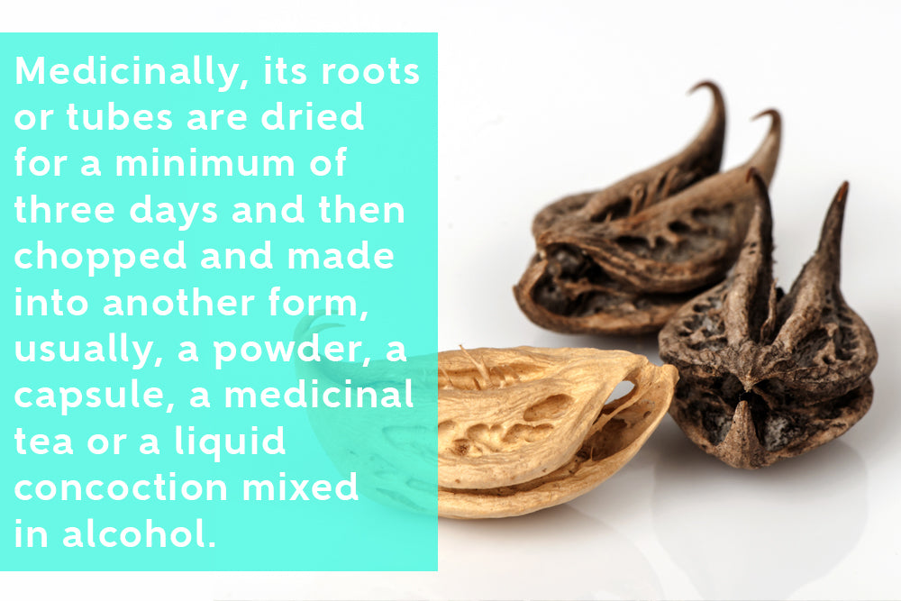 Proven Medicinal Benefits Of Devil's Claw