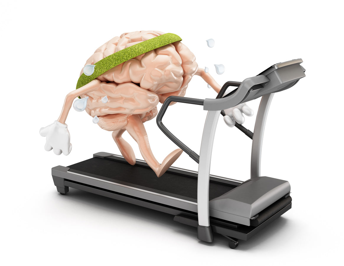 Fitness of Brain японский