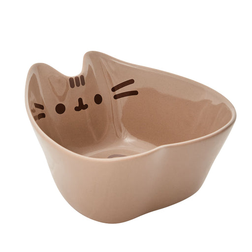 Pusheen & Stormy — Enesco Gift Shop