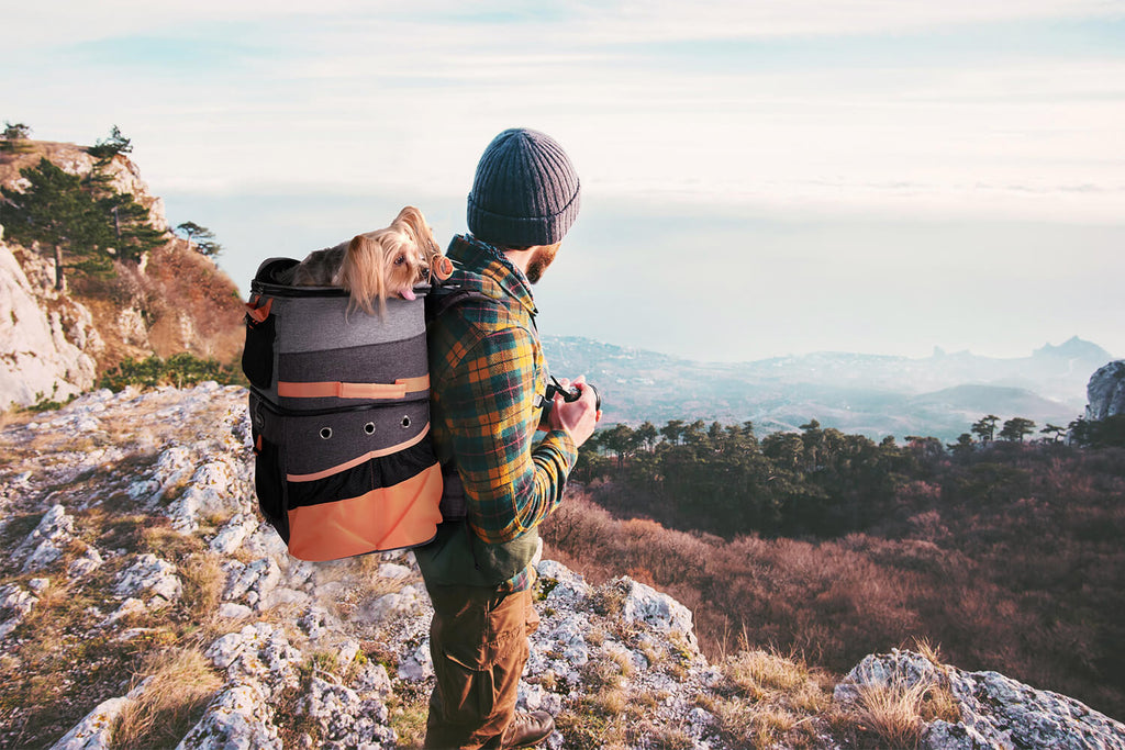 ibiyaya two tier backpack pet carrier